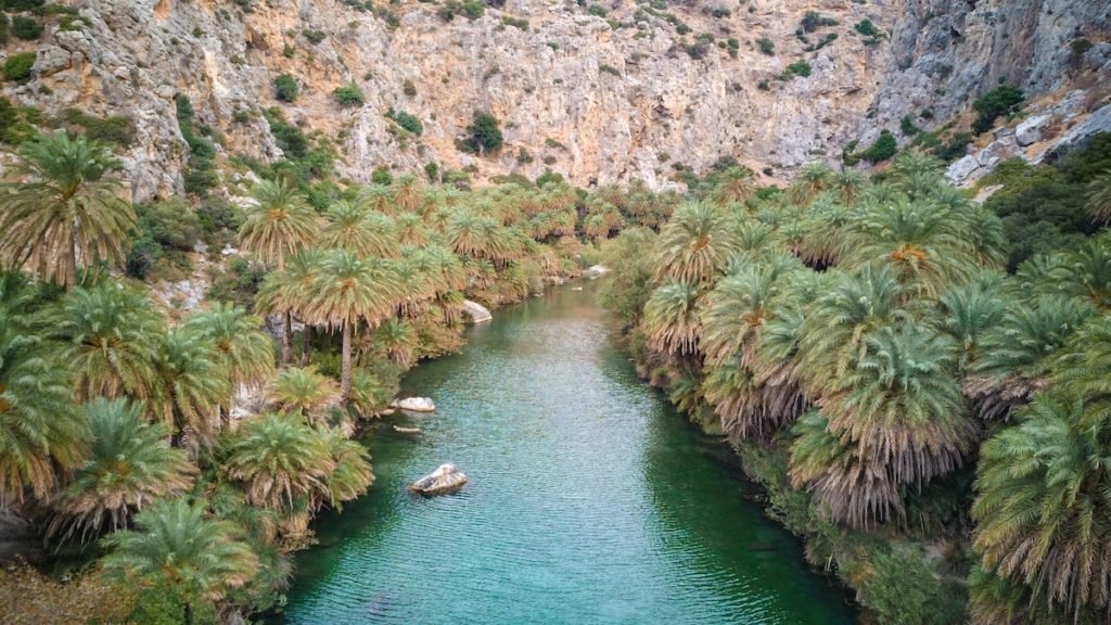 Palm tree lined Preveli one of Crete's unique beaches